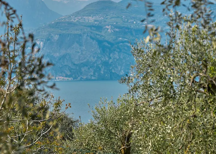 Lägenhet Bellavista